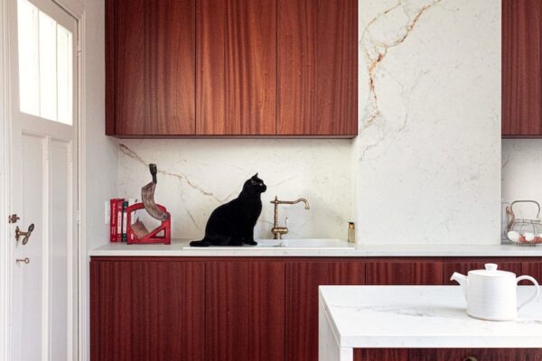 abu_dhabi_wall (2)-min